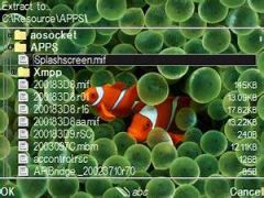 screen
