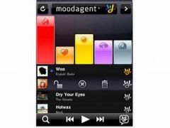 screen
