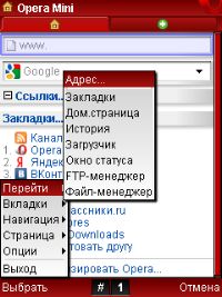 screen