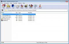 screen