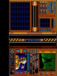 screen