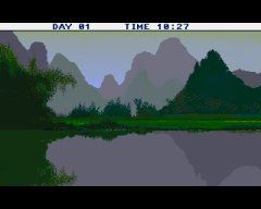 screen