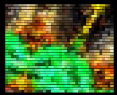 screen
