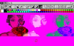screen