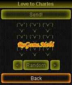 screen