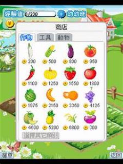 screen