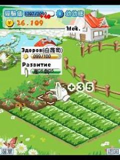 screen