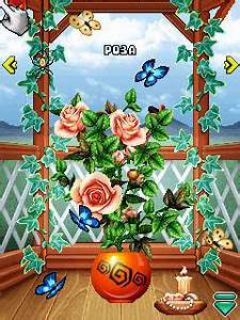screen