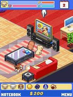 screen