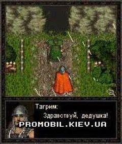 screen