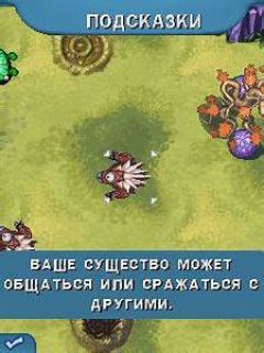 screen