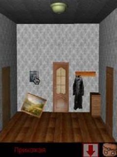 screen