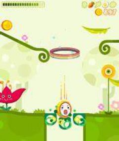 screen