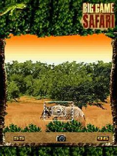screen