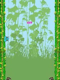 screen