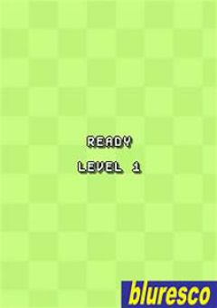 screen