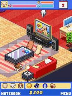 screen