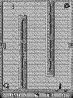 screen