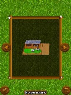 screen