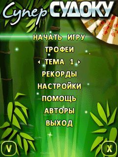 screen