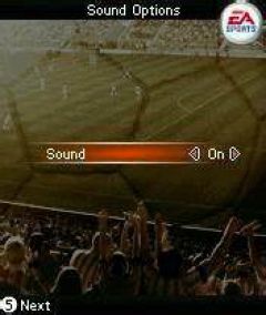 screen