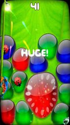 screen