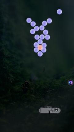screen