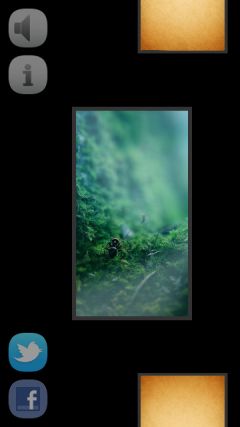 screen